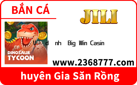 Ví dụ như Big Win Casino cung cấp nhiều trò chơi bài như Poker,  Blackjack,  và Slots